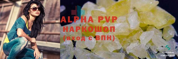 тгк Гусев