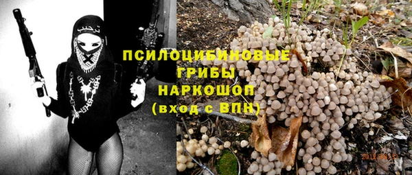 тгк Гусев