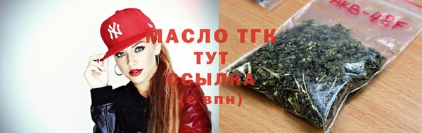 тгк Гусев
