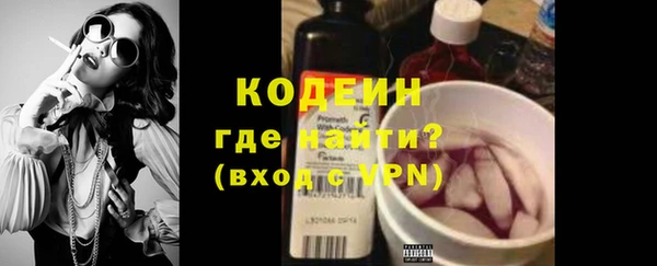 тгк Гусев