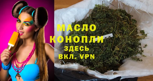 тгк Гусев