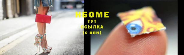 тгк Гусев