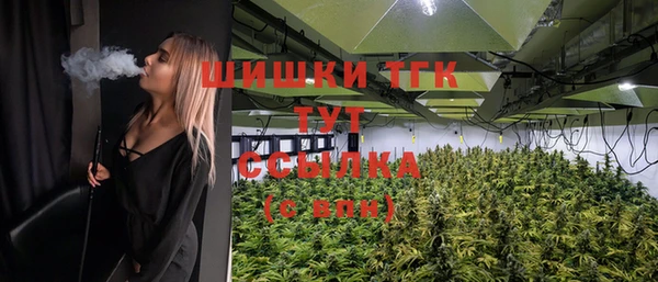 кристаллы Гусь-Хрустальный