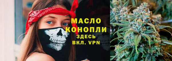 кристаллы Гусь-Хрустальный