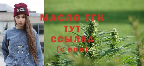 тгк Гусев