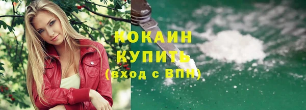 тгк Гусев